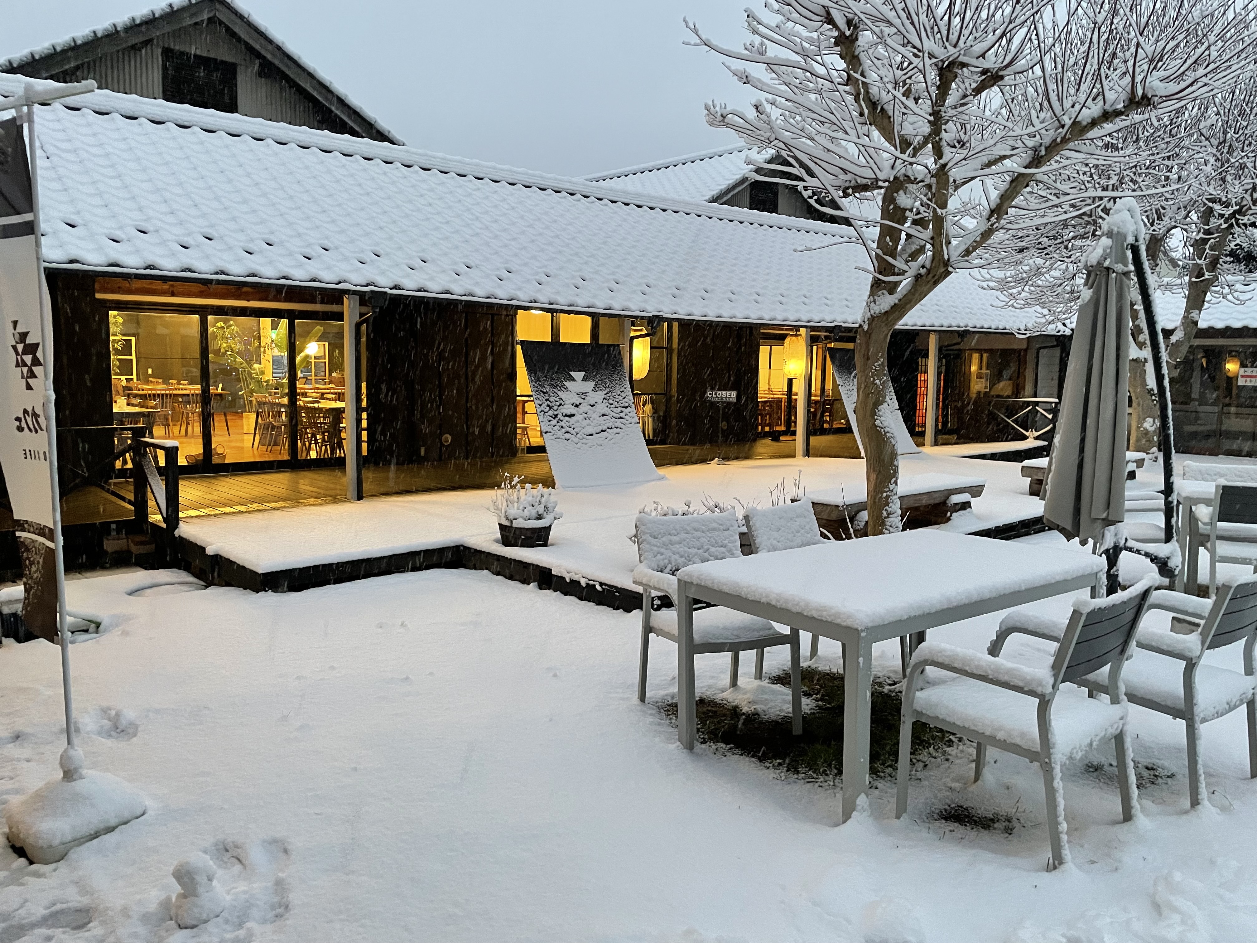 作家物　モノトーンを楽しむ　雪景色のような付下げ 訪問着・付下げ 【きもの都粋】